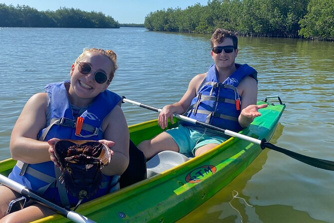 Manatee and Dolphin Kayak Tour - Traveler Feedback