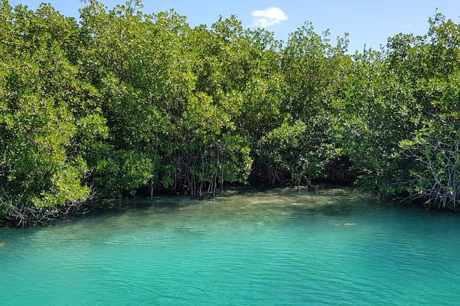 Mangrove and Lagoon Speed Boat Tour - Packing Recommendations