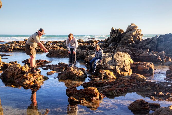 Marine Eco Safari - Pricing and Cancellation Policy