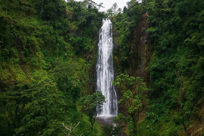 Materuni Waterfall Hike & Coffee Tour - Cancellation Policy