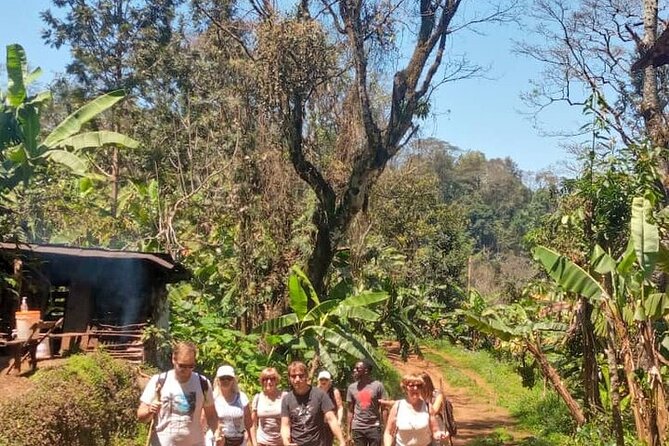Materuni Waterfalls, Kikuletwa Chemka Hot Springs, Coffee Tour - Booking and Cancellation Policy