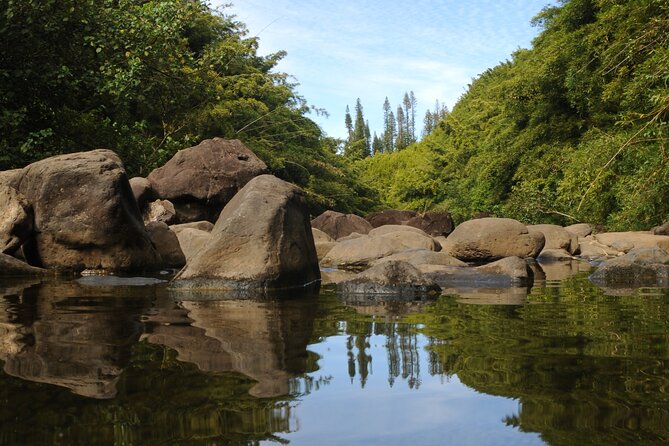 Maui Part-Way to Hana North Shore Sightseeing & Photography Tour! - Customer Reviews and Experiences