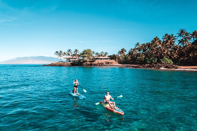 Maui'S ONLY Electric Powered Kayak & SUP Hybrid Rentals. - Impressive 5-Star Reviews