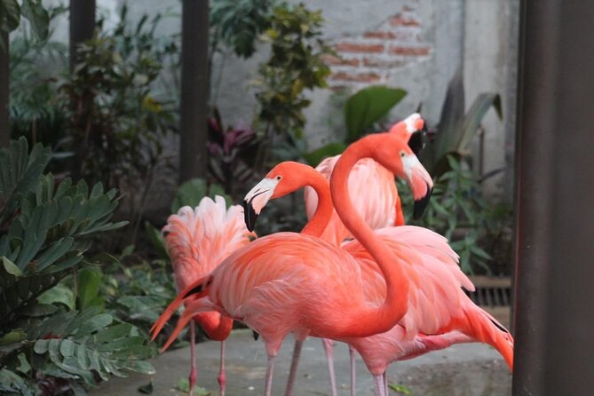 Mazatlan City Tour and Observatory - Tour Duration and Group Size