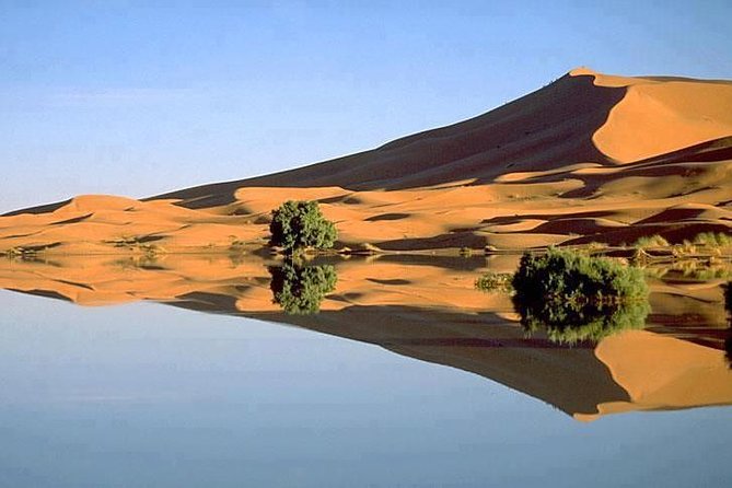 Merzouga 4X4 Half-Day Tour With Lunch - Constructive Traveler Feedback