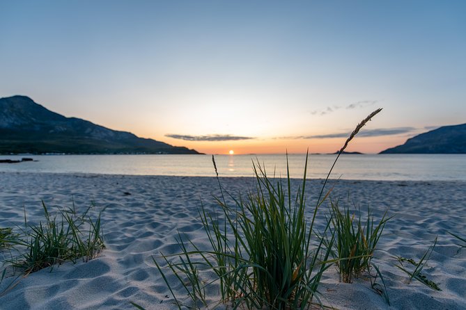 Midnight Sun Campfire Tour From Tromso - Expert Guides Lead Excursion