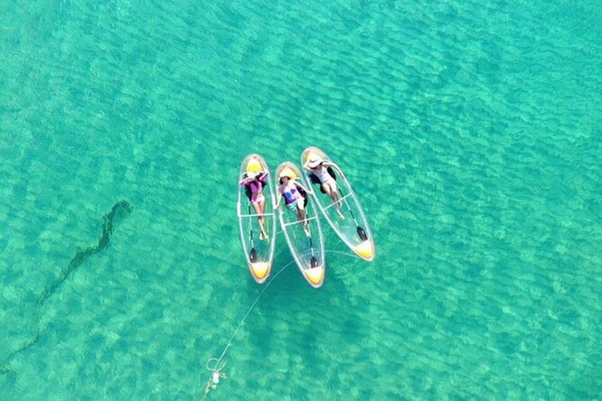 Mnemba Dolphin Tour, Clear Kayak, Cooking Class, Horse Riding - Traveler Experiences