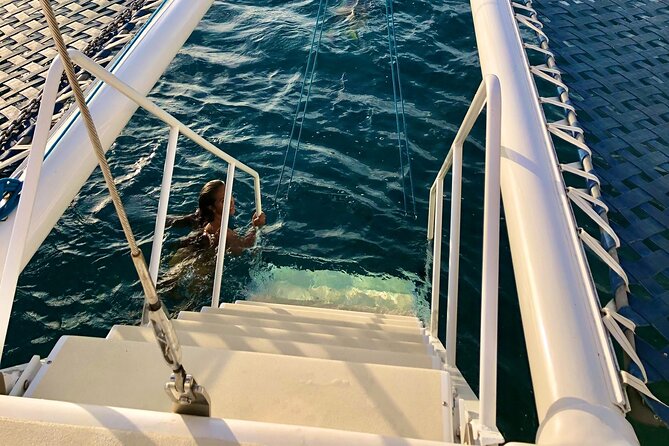 Moana's Swim'n'Sail Cocktail Cruise Along the Waikiki Coast - Booking and Cancellation Policy