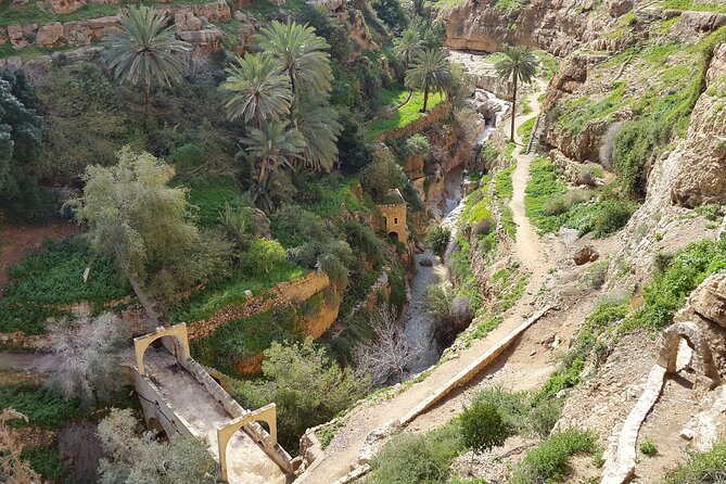 Monasteries of the Judean Desert Private Tour - Reviews and Testimonials