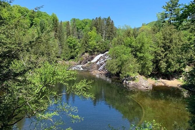 Mont Tremblant Private Day Tour From Montreal - Tour Operator and Pricing