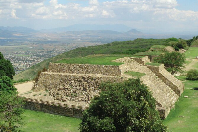 Monte Alban - Full Day Guided Tour With or Without Food - Oaxaca - Traveler Feedback
