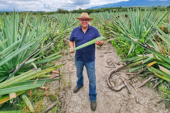 Monte Albán Tour, Hierve El Agua, Teotitlán Del Valle, and Mezcal - Accessibility and Restrictions