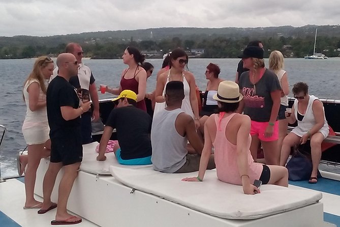 Montego Bay Shore Excursion: Private Custom Sightseeing Tour - Accessibility Options