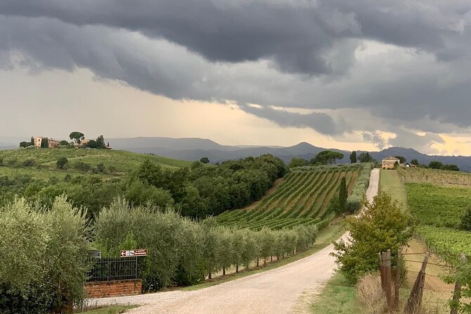Montepulciano: Wine Tour and Tasting - Scenic Views During Tasting