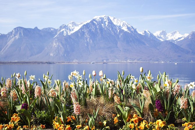 Montreux - Private Tour With a Visit to Chillon Castle - Customer Reviews and Ratings