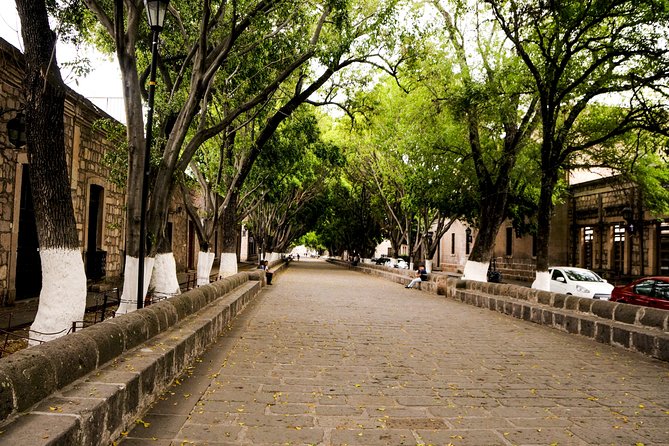 Morelia City Tour - Culinary Recommendations