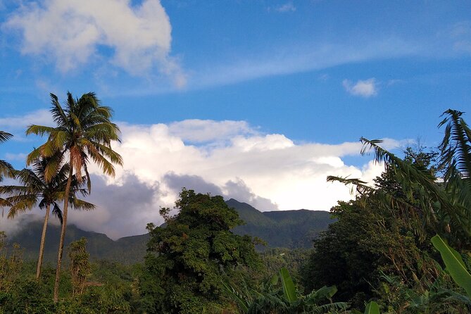 Morne Daiblotin Mountain Climb -Dominicas Tallest - Preparing for the Hike
