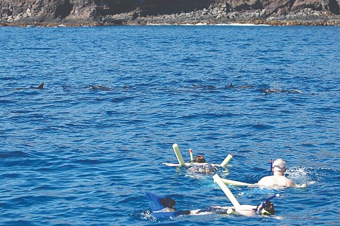 Morning Snorkel Sail From Lahaina Harbor - Customer Feedback and Ratings
