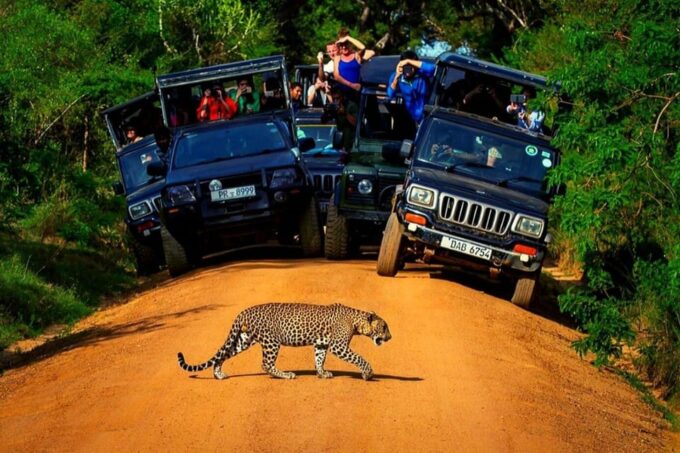 Most Popular Private Tour in Sri Lanka With Including Hotels - Important Considerations