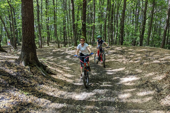Mount Etna E-Bike Half-Day Tour - Climbing to Rifugio Citelli