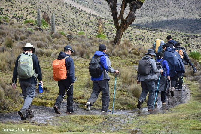 Mount Kenya Chogoria-Sirimon Route(5 Days) - Arrival and Departure