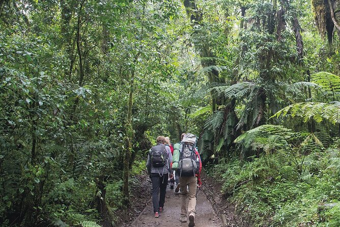 Mount Kilimanjaro Day Hike Through Marangu Route to Mandara Hut - Frequently Asked Questions
