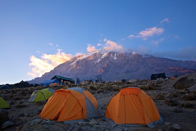 Mount Kilimanjaro - Machame Route - Local Guides and Porters