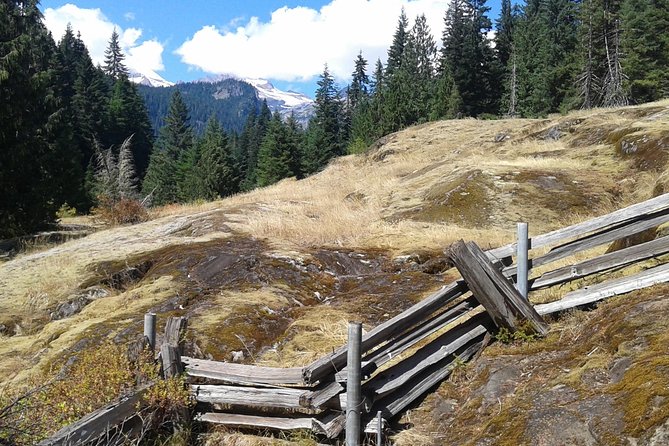 Mount Rainier Tour From Seattle - Ecological Diversity