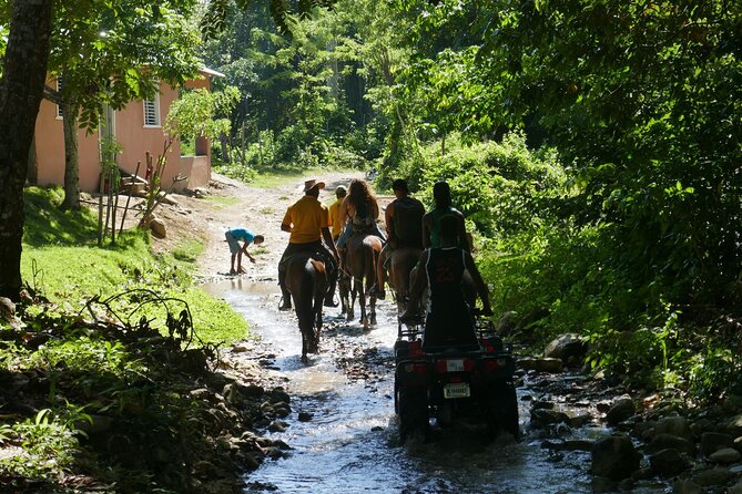 Mountain Horse Back Riding - Customer Reviews and Ratings