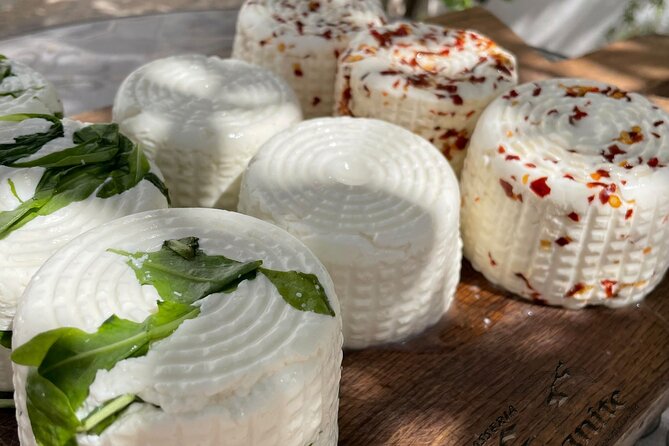 Mozzarella Experience - The Sum Up