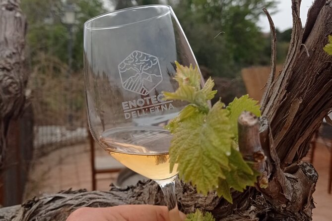 Mt. Etna Trekking and Wine Tasting - From Syracuse - Trekking Experience