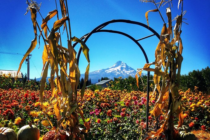 Mt Hood Loop Tour Including Multnomah Falls - Booking and Cancellation Policy