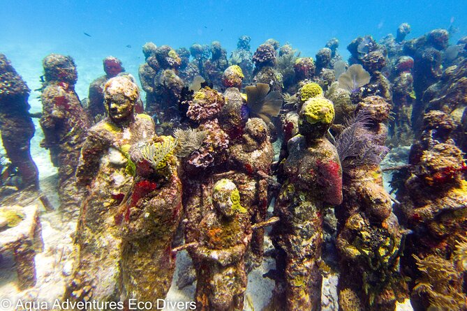 MUSA Museum and Colorful Reef 2 Tank Dive-Certified Divers - Pricing and Availability