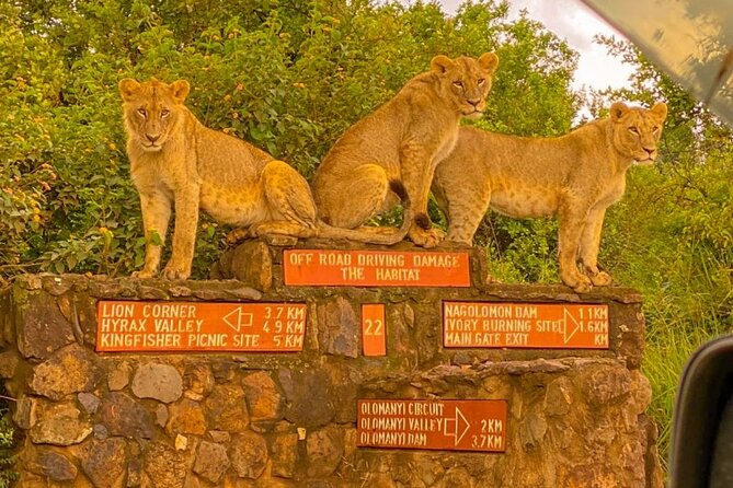 Nairobi National Park Sun Rise Game Drive With Pickup & Drop-Off - Tour Operator Responsiveness