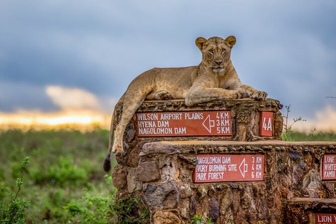 Nairobi National Park Tour - Tips for an Enjoyable Experience