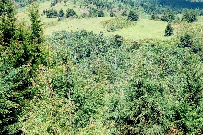 Nairobi Zip Lining Adventure Experience - Immersive Nature Walk