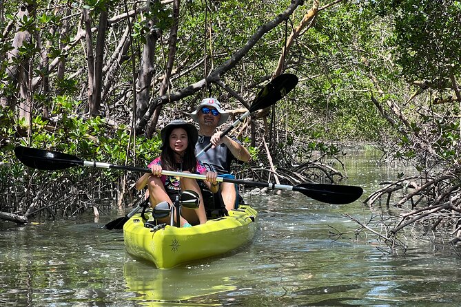 Naples Guided Sunset Kayak Tour Activity - Tour Guide Expertise