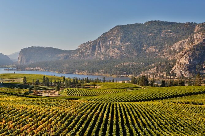 Naramata Bench Wine Experience From Vernon - 4 Wineries - Wineries Visited