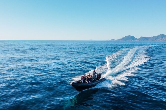 Nautical Excursion - Cannes-St Tropez - Discover Port Grimaud and Île Dor
