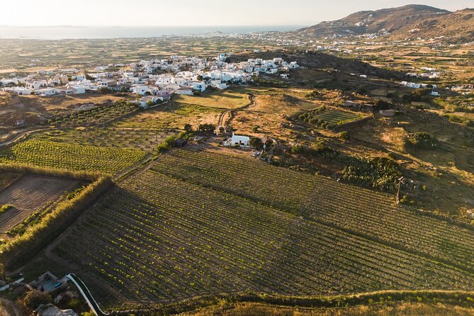Naxos Private / Semi Private E-Bike Guided Tour Inland Methexis - Vineyard Tour and Tasting