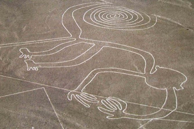 Nazca Lines Overflight Tour From Nazca - Insights From Onboard Guides