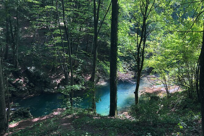 Nera Gorge National Park - Private Day Tour From Timisoara - Location and Price Range