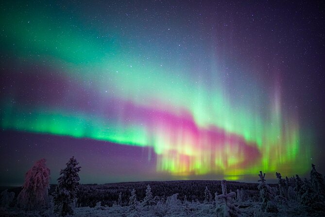 Night Snowshoeing Adventure Under the Northern Lights - Tips for a Great Experience