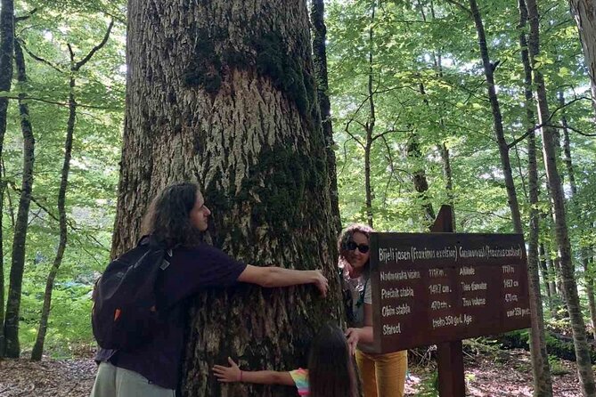 NORTH TOUR Np Biograd Gora-Lake-Moraca Canyon & Monastery-Kolasin - Location and Type