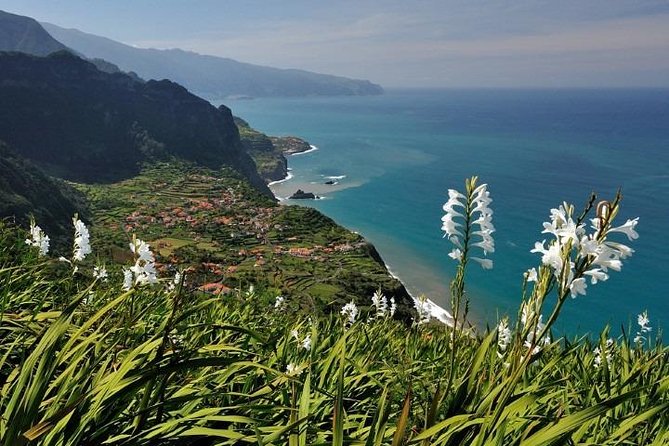 Northeast Tour of the Island Review - Booking and Availability