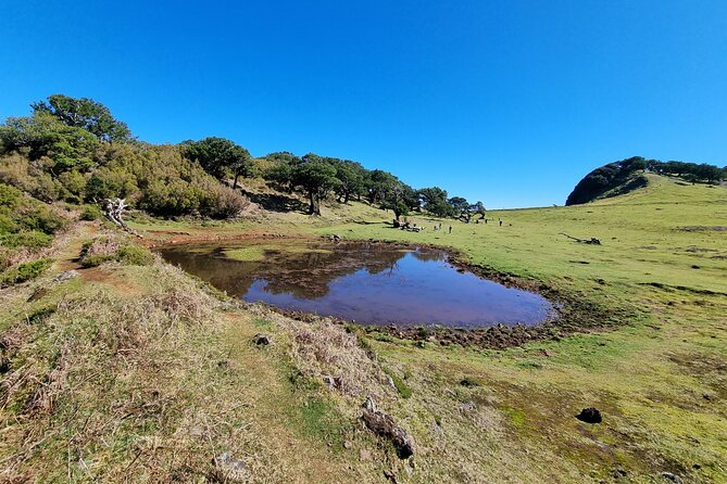 Northwest Madeira Full-Day 4WD Tour From Funchal - Booking Options