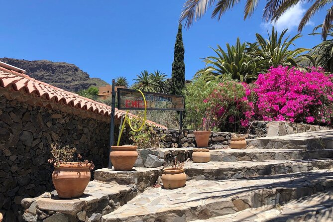 Northwest Tenerife Highlights Tour - Cancellation Policy