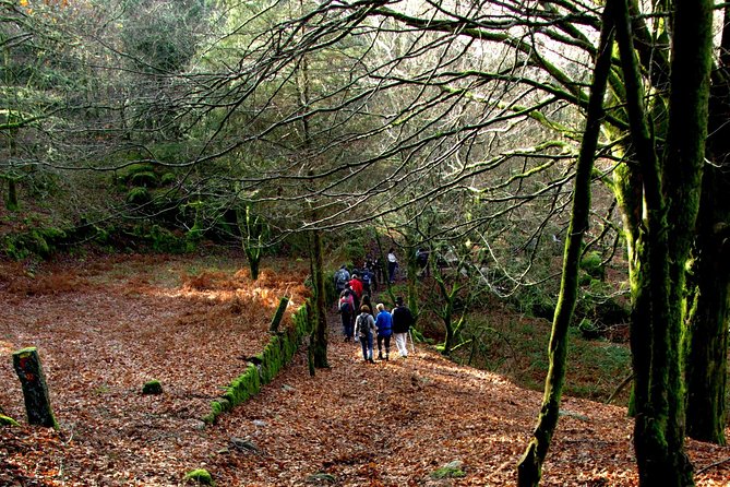 Nozzle Horn Protected Landscape Area - Additional Tour Information