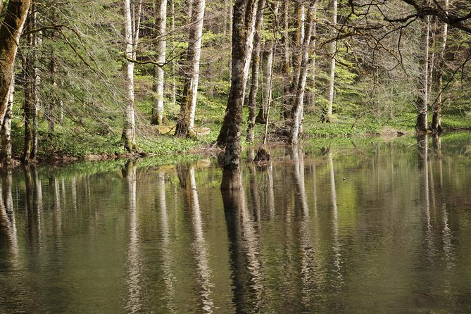 NP Biogradska Gora and Canyon Moraca (Private Tour) - Scenic Coastal Route