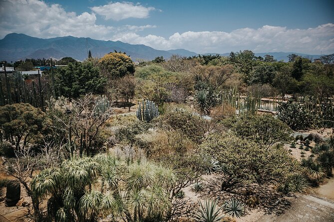 Oaxaca City Walking Tour - Markets, Textile Museum & Lunch - Duration Consideration